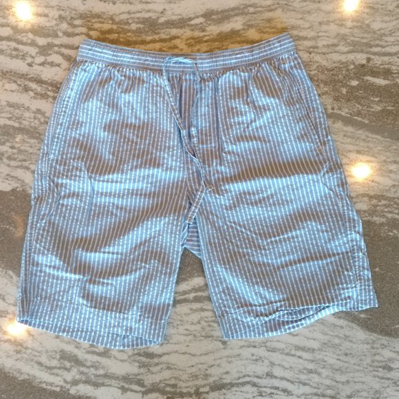 GAP Other - Gap Blue and White Seersucker Shorts NWOT